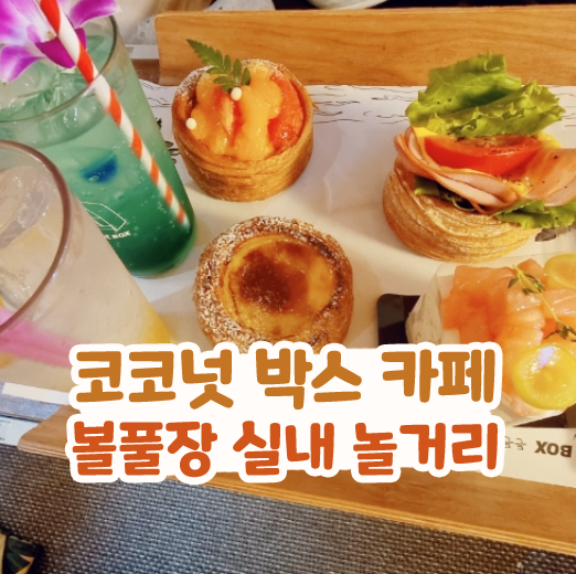  홍대 코코넛 박스 카페 볼풀장 실내 놀거리 후기
