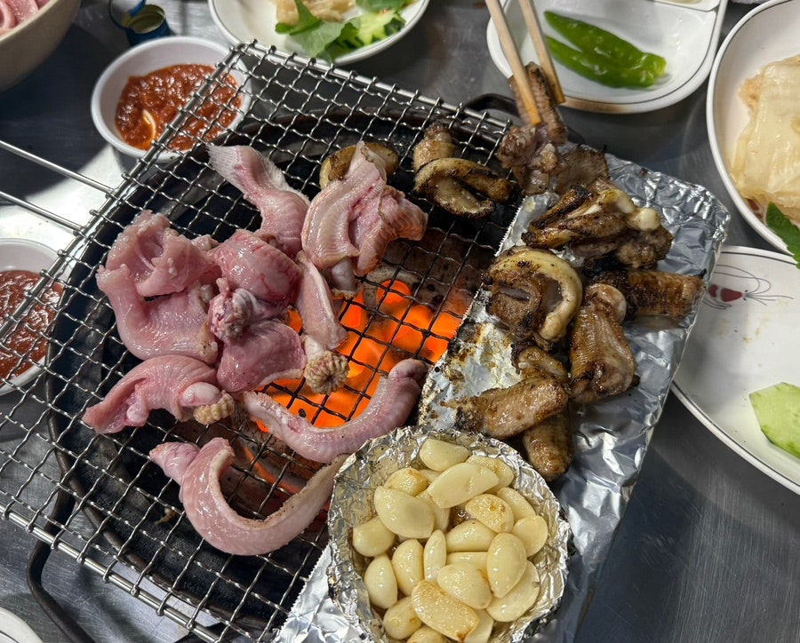 성일호 사진 6
