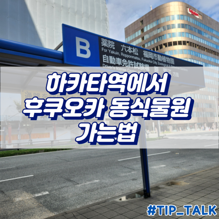  후쿠오카 하카타역에서 후쿠오카 동식물원 가는법