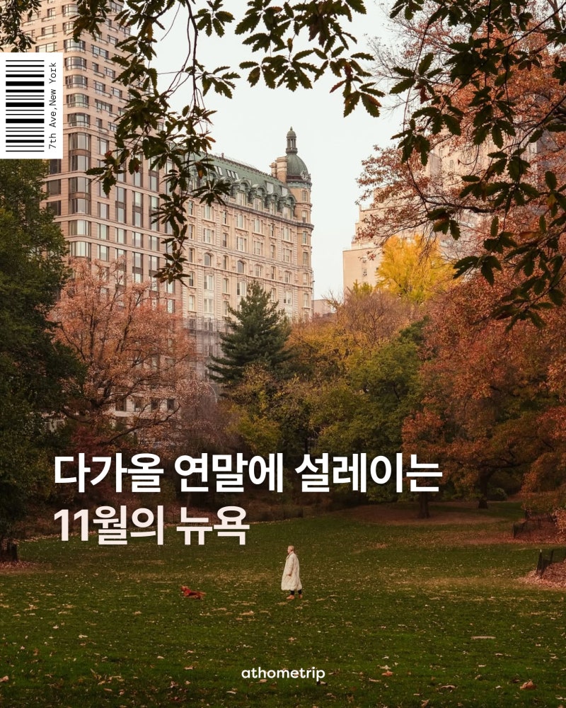 [뉴욕 여행] 11월 날씨 • 옷차림 코디 • 이벤트 • 추천 액티비티 완벽 가이드