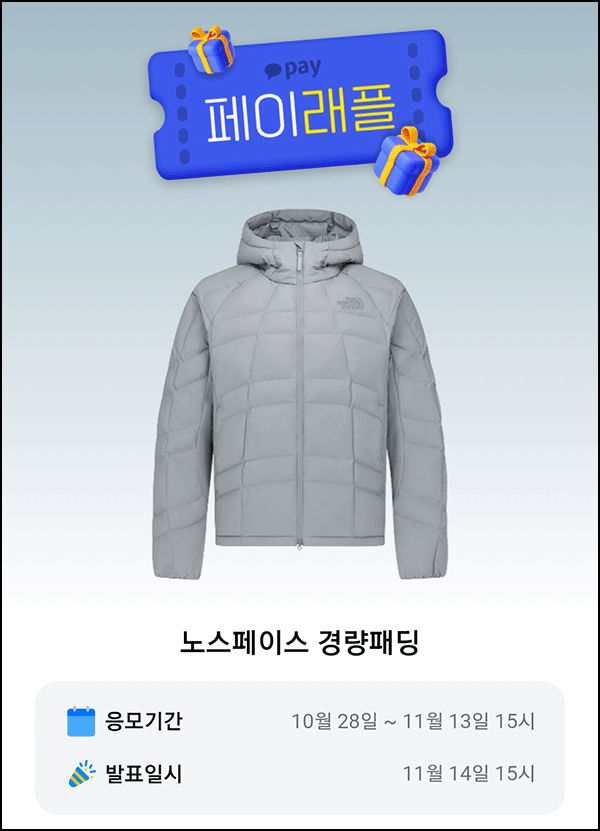  카카오페이 래플 이벤트(노스페이스 패딩 5명)추첨~11.13