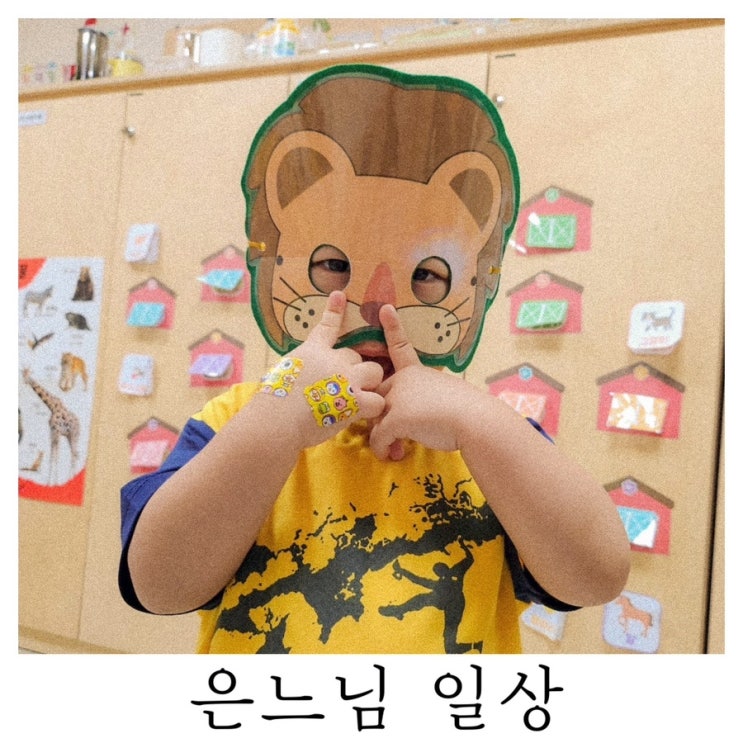  [은느님 일상]드폰이에 사진이 밀려있다네