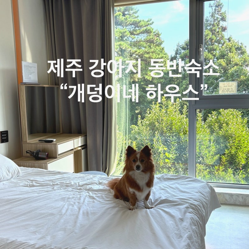 사진 7
