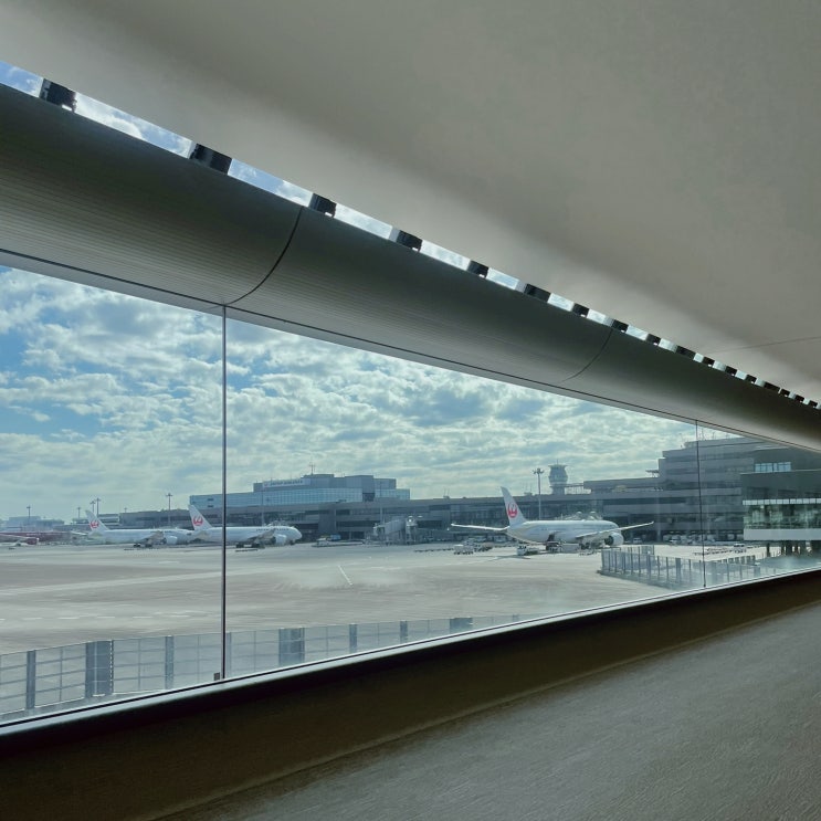  [일본] 대구 공항 국제선 출국  도쿄 나리타 공항 제 2 터미널 입국 후기 ㅣ 무선고데기 반입 불가