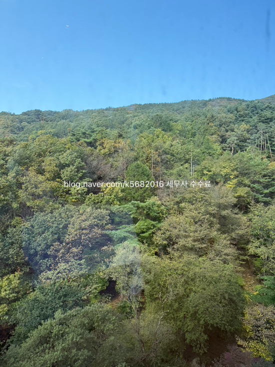  세무사 수수료, 세무기장은 꼭 해야 할까?