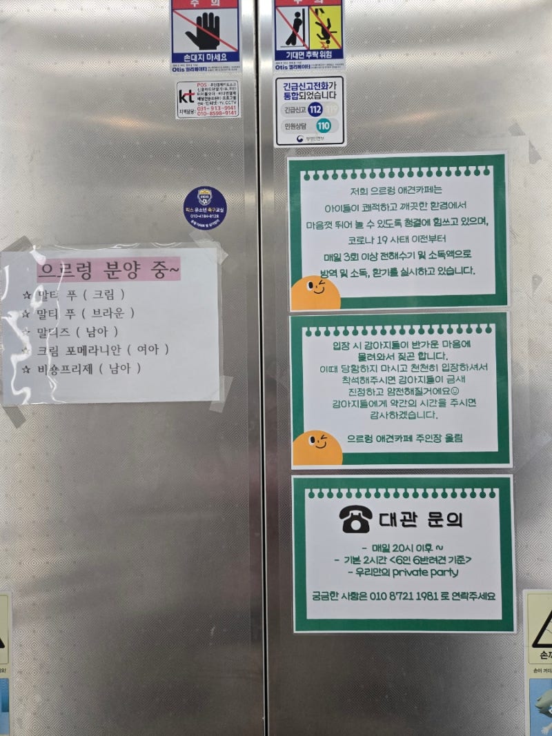 사진 5