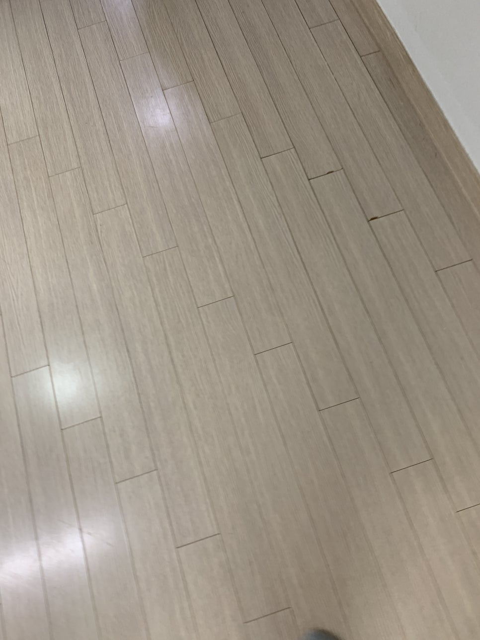 강화마루 찍힘 보수 방법 및 들뜸 벌어짐 원인 (김포)