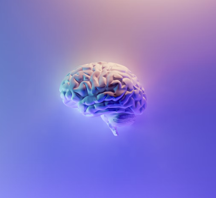 Pusher Syndrome이란? 뇌졸중 푸셔 증후군 원인과 재활 방법