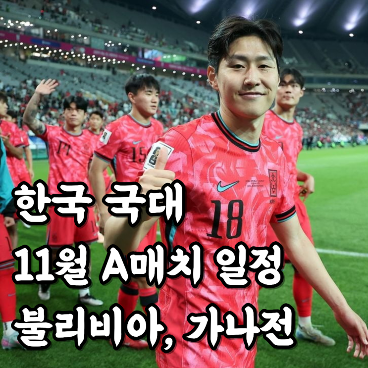  한국 국가대표 A매치 볼리비아전, 가나전 | 대전, 서울 2연전 확정