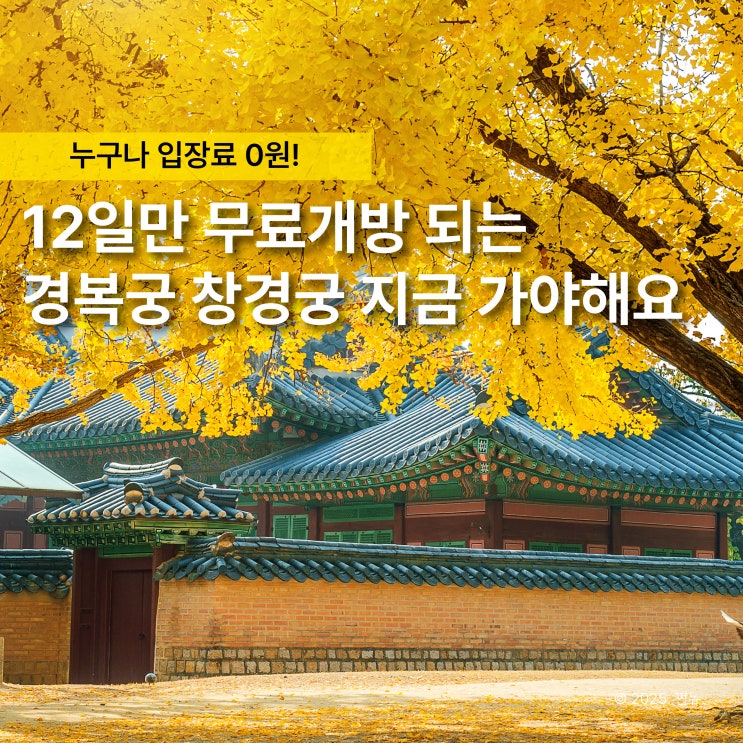  12일간 돈 안 내고 즐긴다, 서울 4대 고궁 무료입장 단풍뷰 여행