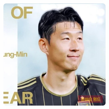 <b>손흥민</b>, <b>메시</b> 제치고 또 새... ‘2025 <b>MLS</b> 올해의 골’ 주인공