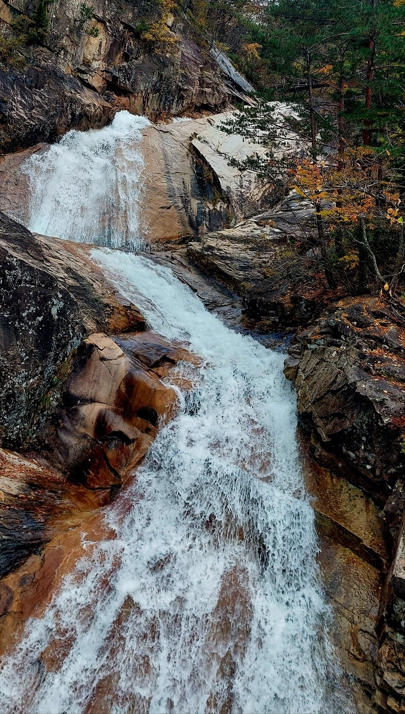 정책지식 2025.10.28. : 네이버 블로그