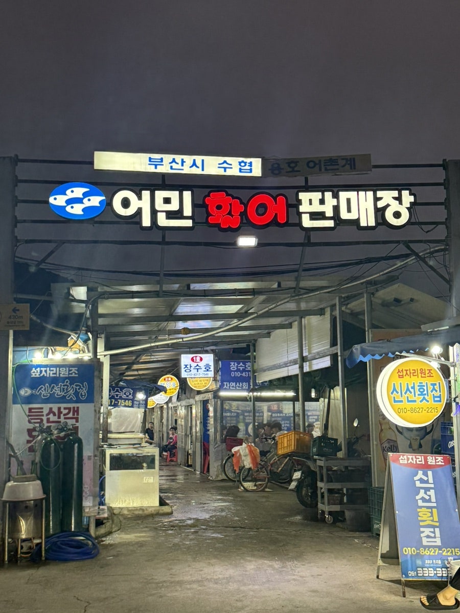 성일호 사진 1