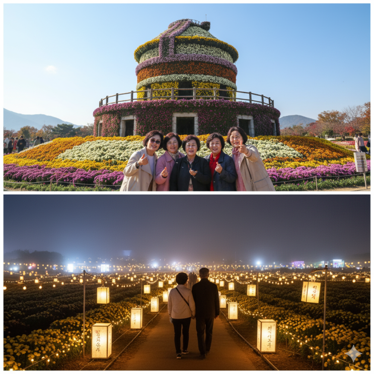  2025.늦가을 마지막 기회! 월출산 국화축제, 감기 걱정 없는 야간 관람 꿀팁 총정리(기간/주차/야간 핵심 가이드)