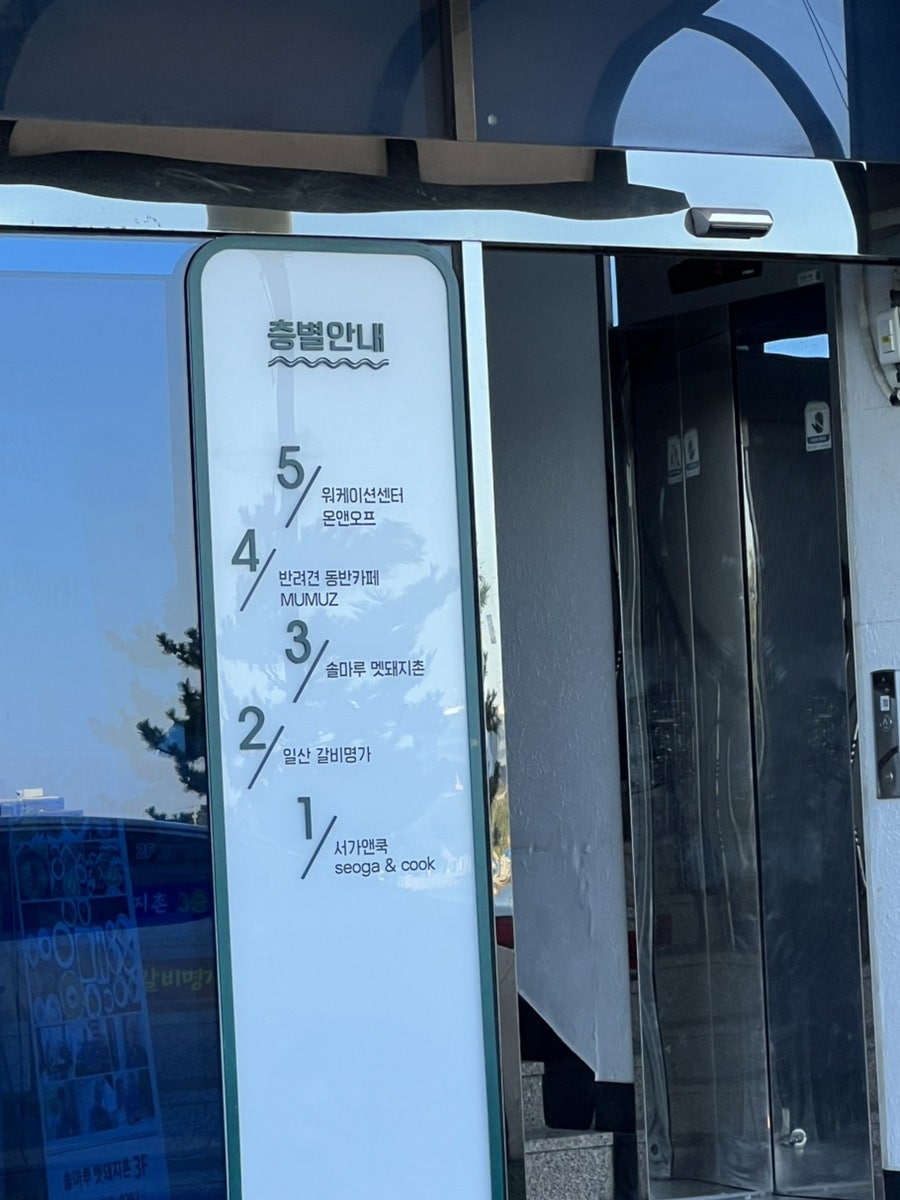 멈머즈 사진 3