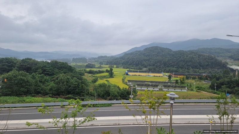 사진 6