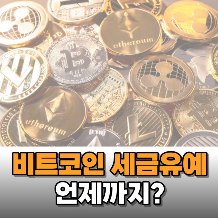 비트코인 세금 유예 언제까지인지 알아보니