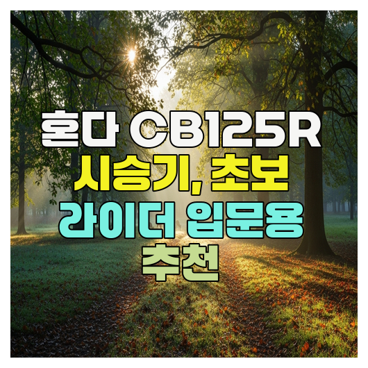  혼다 CB125R 시승기, 초보 라이더 입문용 추천