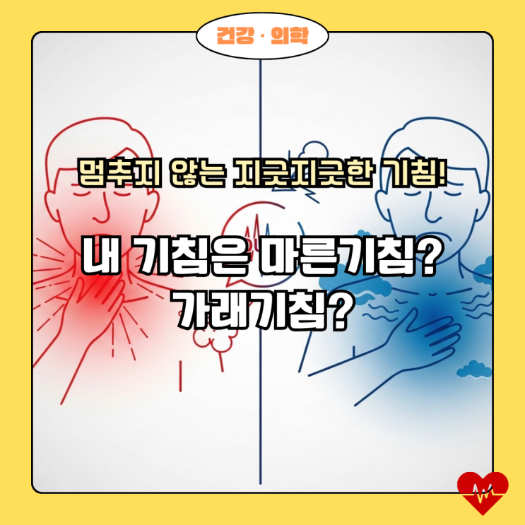  마른기침 vs 가래기침: 내 기침은 어떤 종류? 집에서 할 수 있는 즉각적인 완화법