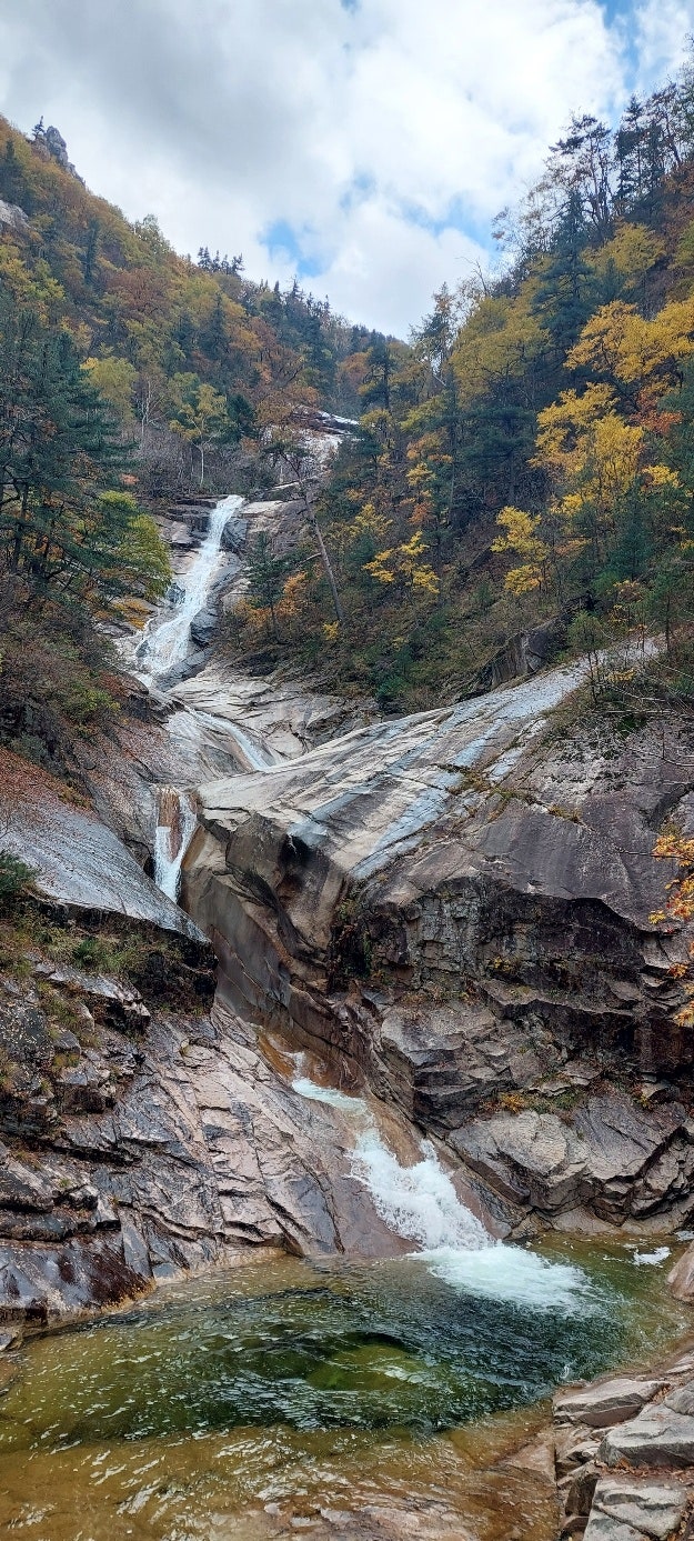 정책지식 2025.10.28. : 네이버 블로그