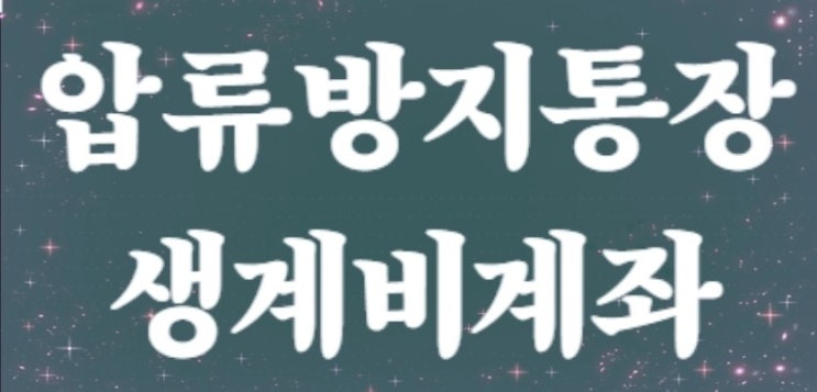  "압류금지 생계비 계좌 | 급여 185만원→250만원 상향 완벽 가이드"