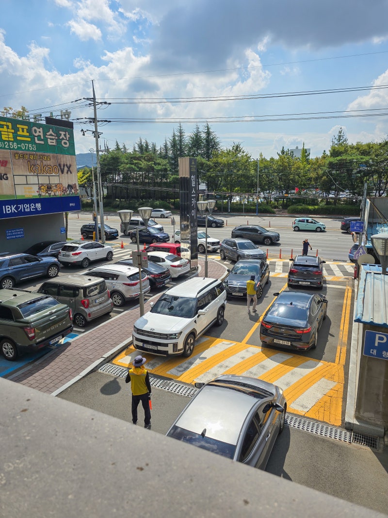 사진 6