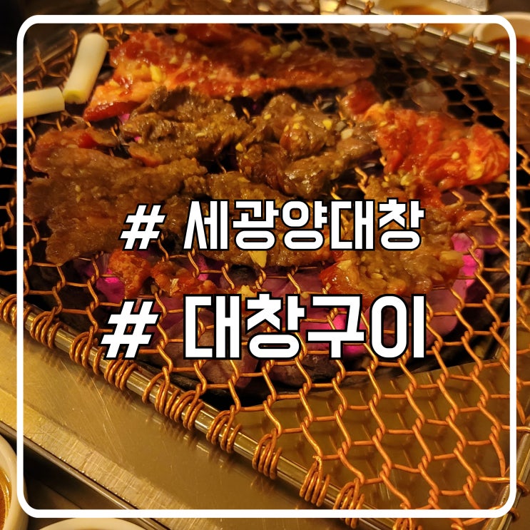  배곧곱창 세광양대창｜직접 구워주는 고깃집에서 즐긴 대창구이 찐맛집