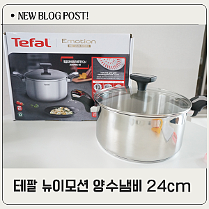 매일 쓰는 주방템 테팔 냄비 뉴이모션 24cm 진짜 잘 산템 후기