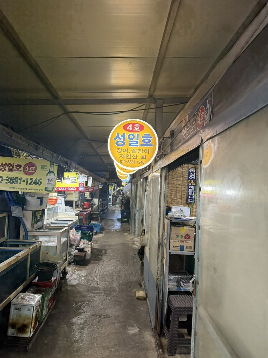 성일호 사진 2