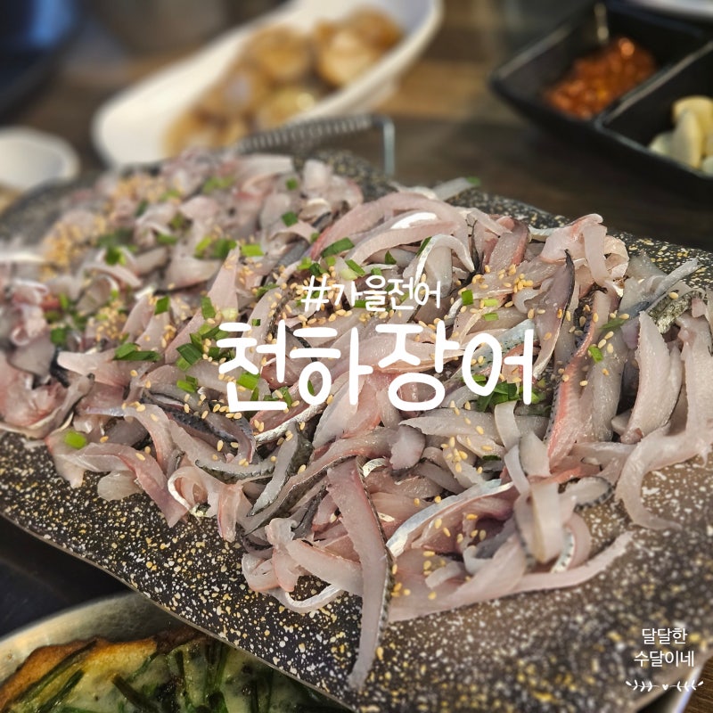 해운대 야장 분위기, 전어회로 한잔 더마신 천하장어 후기