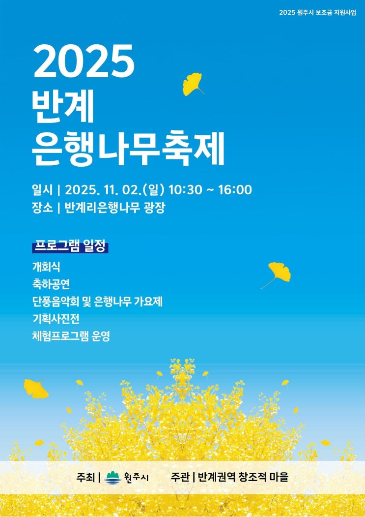  원주가볼만한곳 추천｜황금빛 단풍 가득한 2025 반계리 은행나무축제