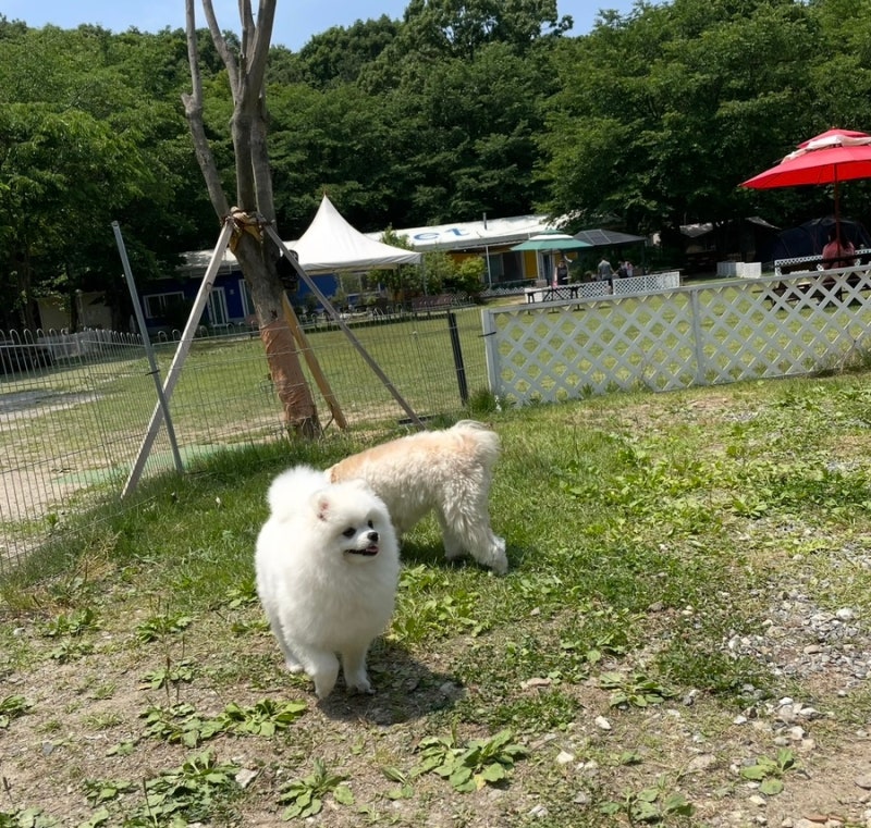 사진 3