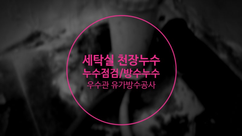 빌라 세탁실 천장누수 누수점검 우수관 유가방수공사 전문업체