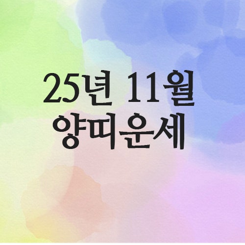  2025년 11월 양띠 운세 (67년 · 79년 · 91년 · 2003년)