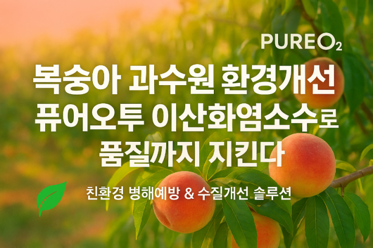  복숭아 과수원 환경개선과 품질관리 향상을 위한 퓨어오투 이산화염소수 적용과 기대효과