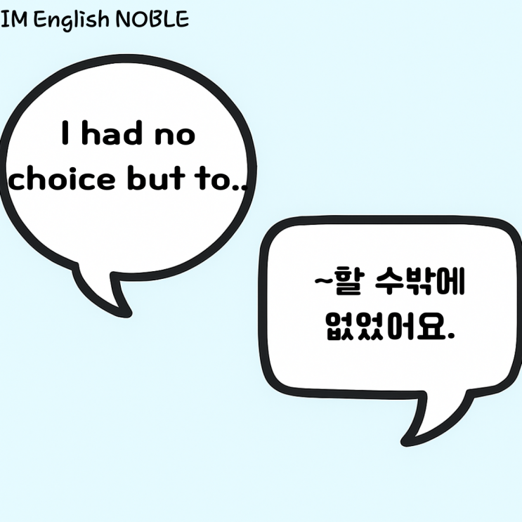  I had no choice but to.. / ~할 수밖에 없었어요.