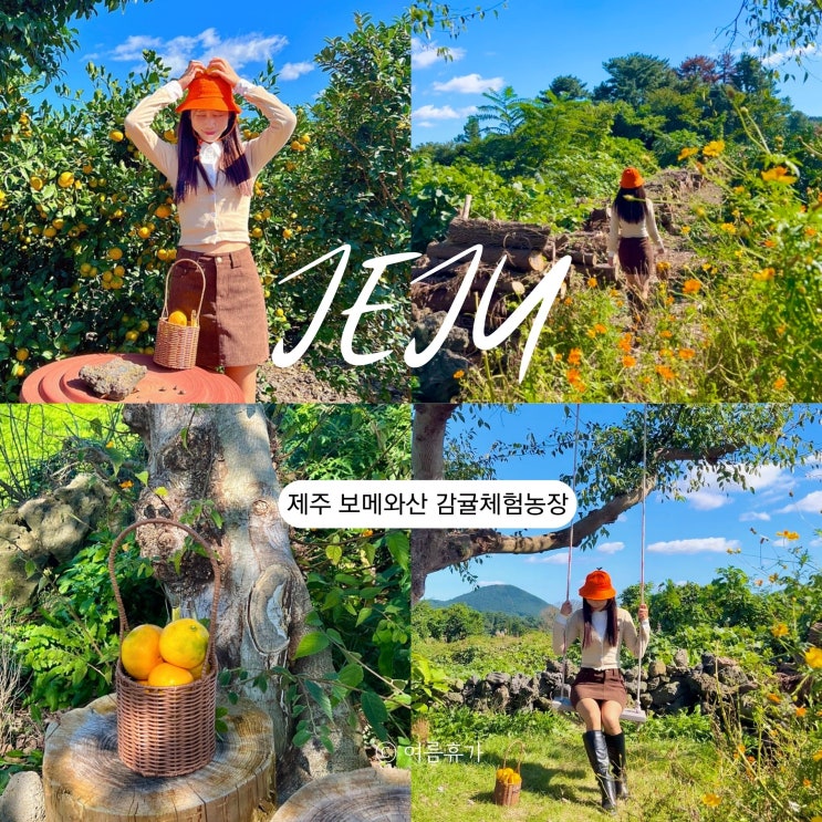 제주 감귤체험 카페 농장 추천 아이와 가볼만한 곳 보메와산
