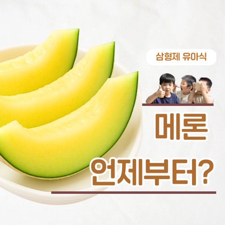  아기 메론 언제부터 먹일까 달콤함 뒤 숨은 주의점