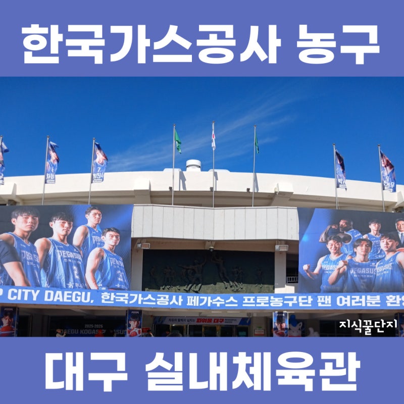 대구 실내체육관 농구 예매 방법 주차장 좌석 2층 G1, G2 (KBL 한국가스공사 페가수스 vs 부산 KCC....