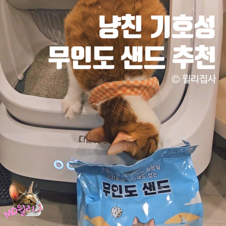  무인도 샌드 블루마블 벤토나이트 기호성 좋은 고양이 모래 추천