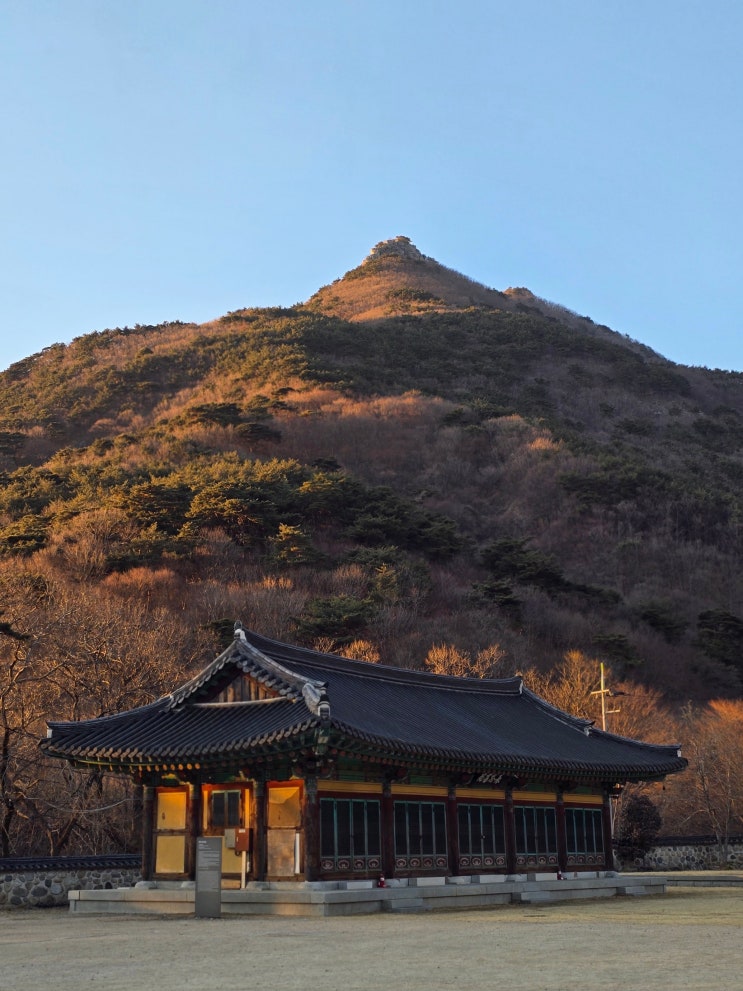  경남 조용한 절, 가을 밀양 사찰 여행 밀양 표충사