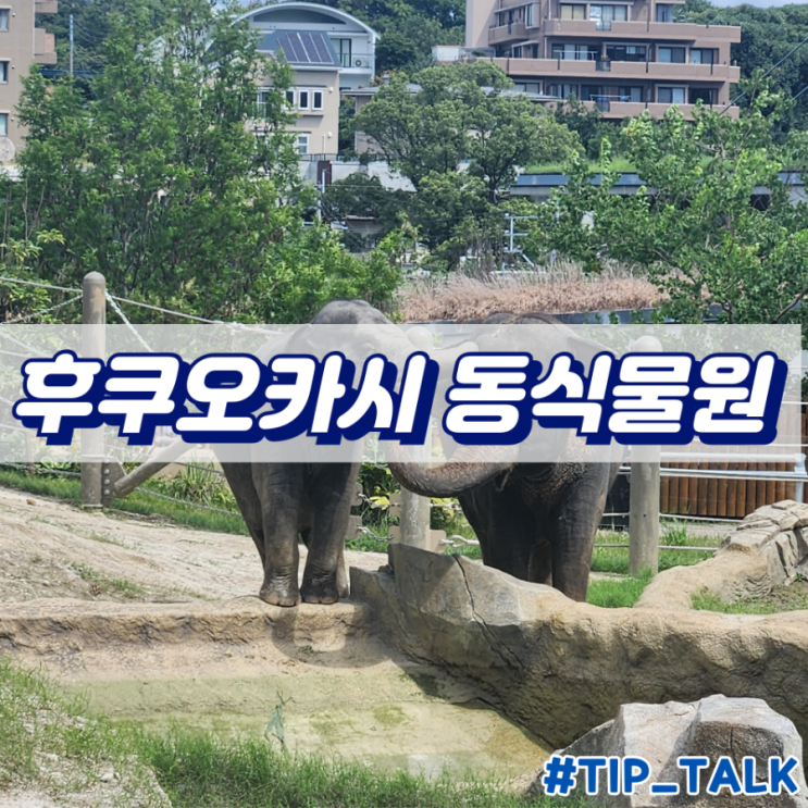  후쿠오카시 동식물원 내돈내산 후기
