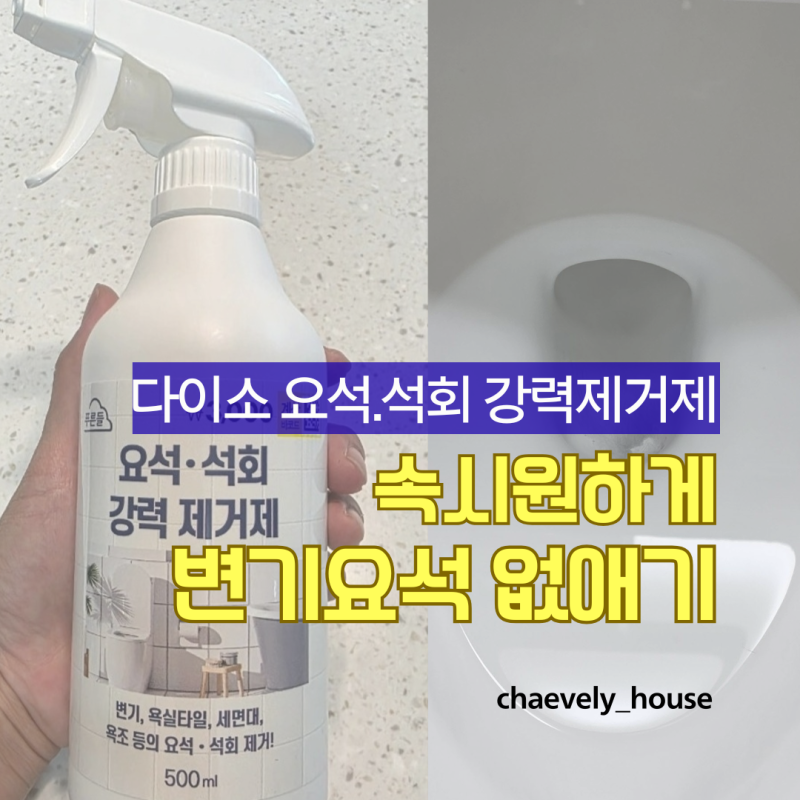 화장실 보기 싫은 변기요석 제거에는 다이소 요석제거제가 정답!