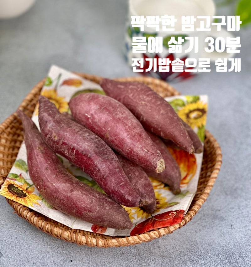 고구마 삶는 법 찌는 법 시간 전기밥솥 팍팍한 밤고구마 물에 삶기