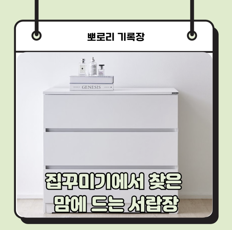 집꾸미기에서 찾은 맘에 드는 동서가구 3단서랍장