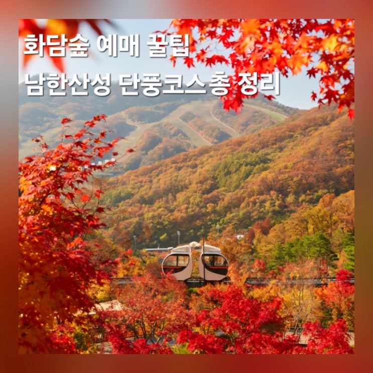  서울 근교 단풍명소 추천 화담숲 모노레일 예약방법