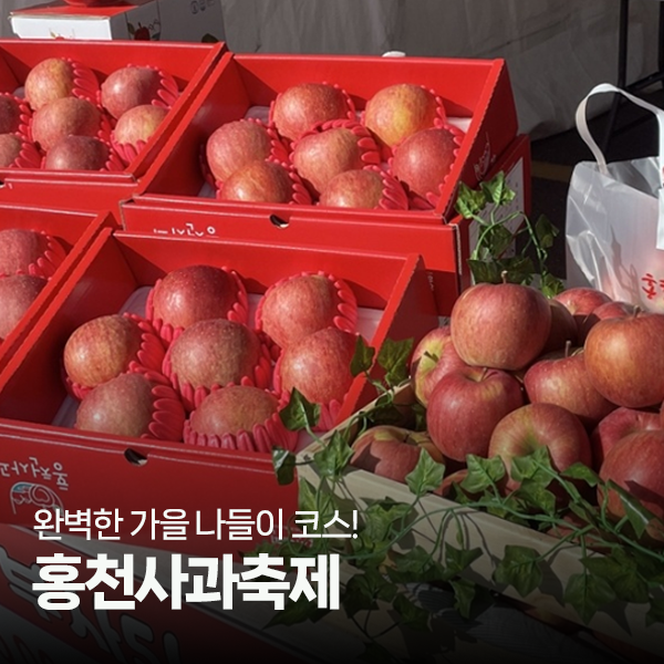 달콤한 가을 사과가 제철! 2025 홍천사과축제 일정·프로그램