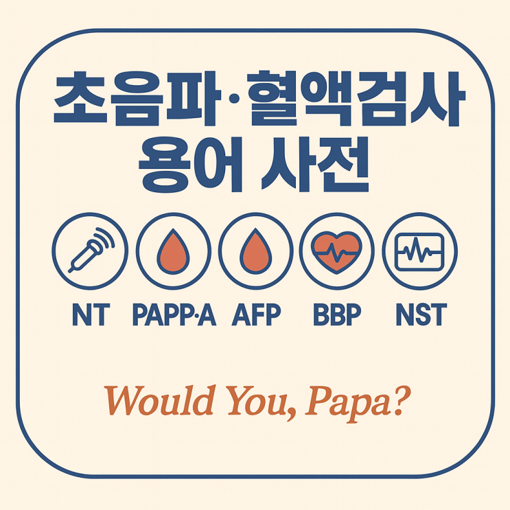  초음파·혈액검사 용어 사전: NT / PAPP-A / AFP / BPP / NST