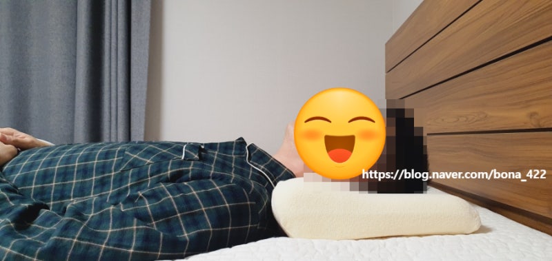 템퍼 에르고 S / 코스트코 구매, 사이즈 추천