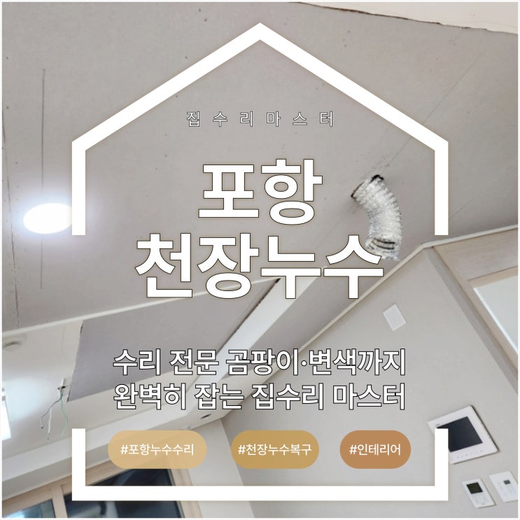  포항 천장 누수 수리 전문, 곰팡이·변색까지 완벽히 잡는 집수리 마스터